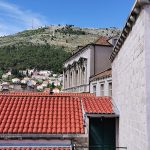 zidine djir 31