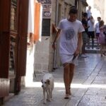 korcula 20