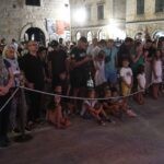 koncert23