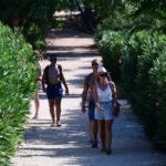 lokrum17