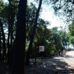 lokrum35