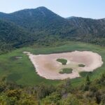 mljet blace promo