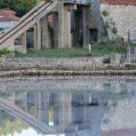 ston festival soli12