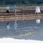 ston festival soli16