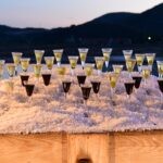 ston festival soli37