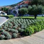 vrtlar006