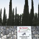 bio konavle moralic 15