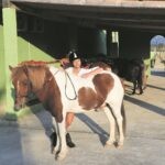bio konavle moralic 2