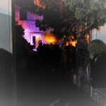 episaurus festival 7