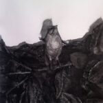 Katarina Ivanišin Kardum, Emberiza cirlus #1, ugljen na papiru (uokviren crtež), 66,7x46,7 cm, 74x54cm (s okvirom). Početna cijena 1500 kn