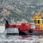 lokrum zelena cistka 20