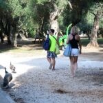 lokrum16