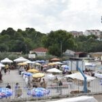 mediteranski sajam gospino polje 1