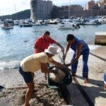 posat031