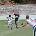 sharks013