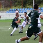 sharks019