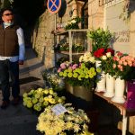 boninovo groblje04