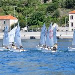 optimisti regata jedrenje14