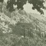 sokol grad 9