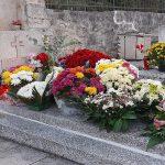 konavle svi sveti 7