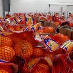 mandarine donacija vukovar 4