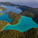 np mljet 20