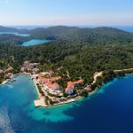 np mljet 3