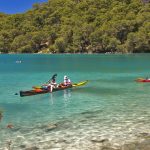 np mljet 6