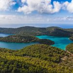 np mljet 8