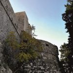vrtlar 5