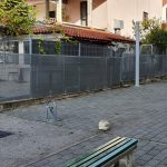 os zupa dubrovacka 2