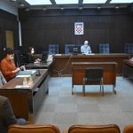 004vlahusic barac dpds 2021
