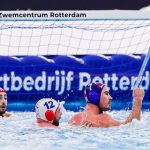 barakude gruzija rotterdam 5