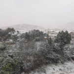 blato surjan ante