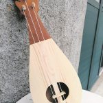 maro kola lijerice 4