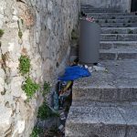 smece pera budmani1