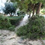 vatrogasci intervencije grane 2