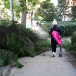 vatrogasci intervencije grane 3