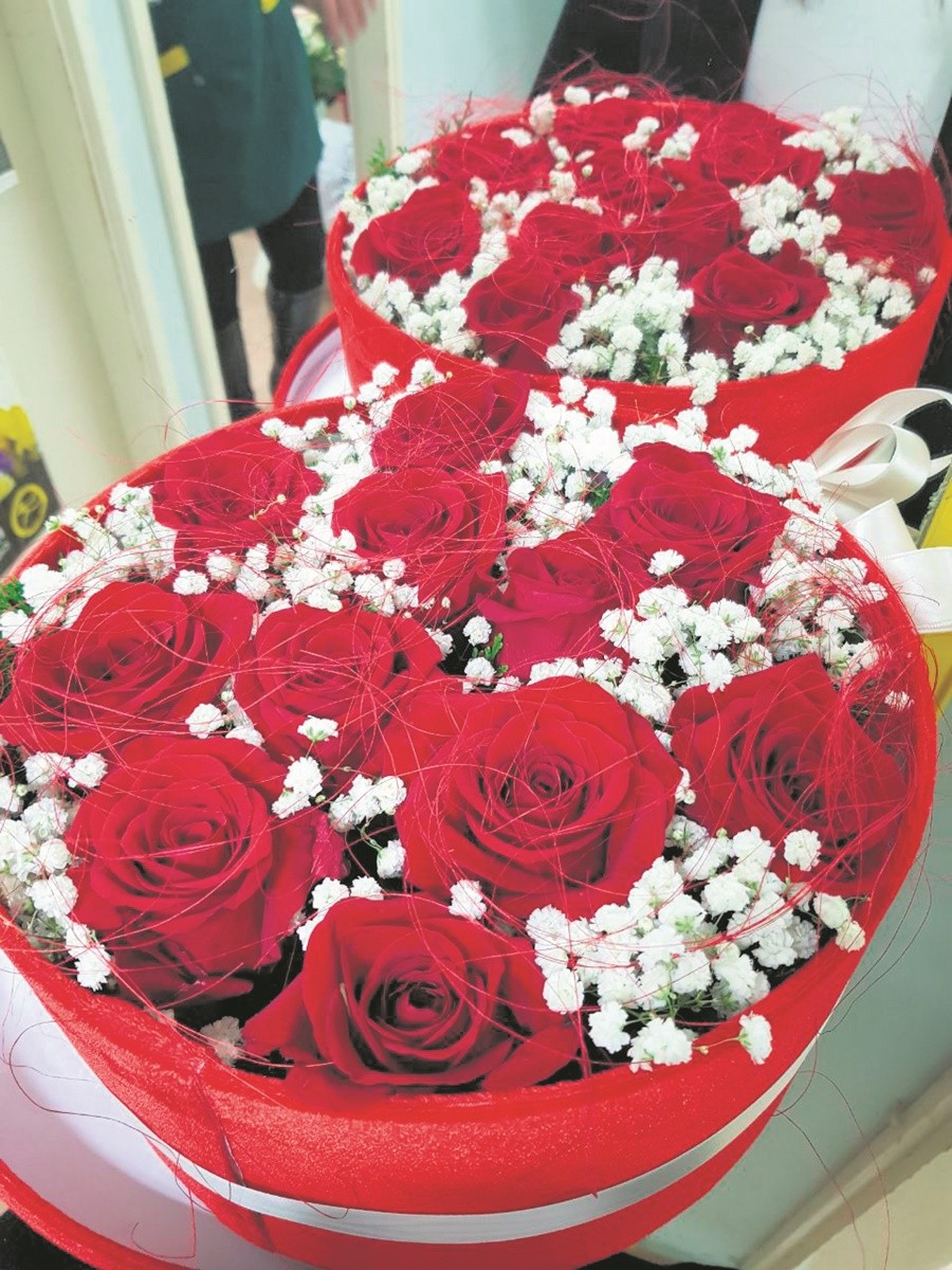 vrtlar valentinovo 11