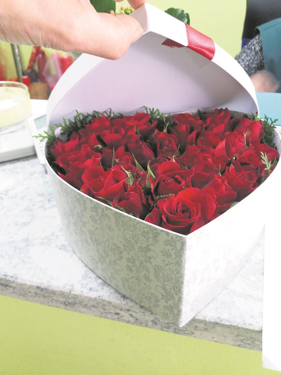 vrtlar valentinovo 3