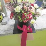 vrtlar valentinovo 7