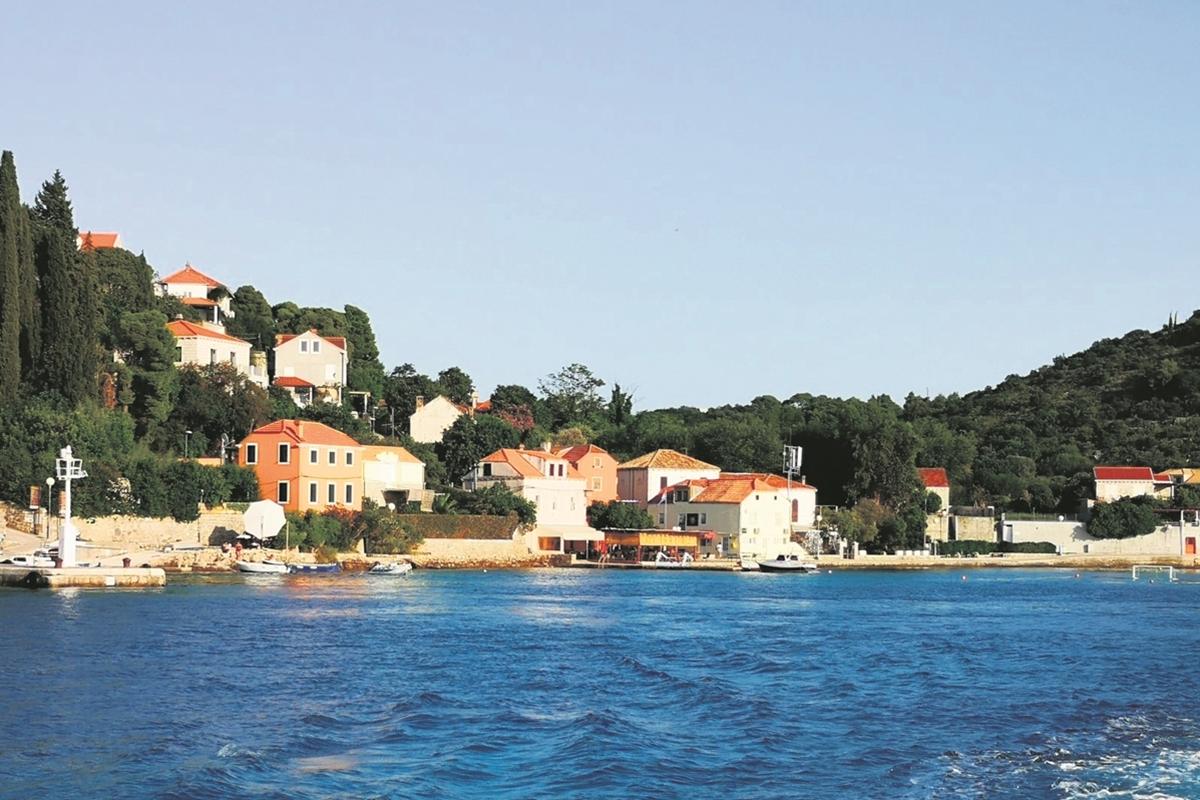 c kalamota 1