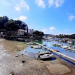 oseka cavtat1