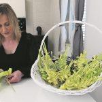 pomice kate miletic 1