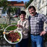 009ane mihovic banici uskrs jaja