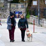 djir uvala PAS VODIC01