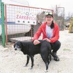 stacionar zarkovica sambrailo 7