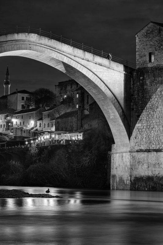stari i patka8 2