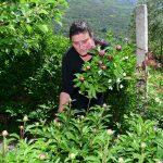 008opg lecic