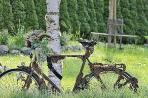 bike 3406889 1920